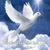 Anita Coursey's profile image
