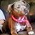 Lisa Despain's profile image