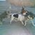 Bob Crane's profile image