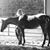 Missy Anderson's profile image