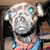 J Maree Parker's profile image