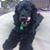 Judith Burritt's profile image