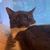 Jennifer Watson's profile image