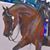 Sylvia Beahr's profile image