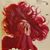 Beth Finch McRae's profile image