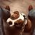 Carolyn Jason Byers's profile image