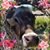 Sue Kaminski-Korman's profile image