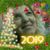 Marisa Bottarelli's profile image