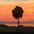 Corinne Lebeau's profile image