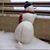 Joanne Demers's profile image