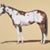 Lynette Norman's profile image