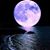 Roseann Genovese's profile image