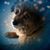 Arnola Medeiros's profile image