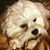Tonya Kirby Thompson's profile image