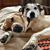 Sandy Pick's profile image
