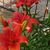 Debbie N Johnny Thompson's profile image