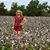 Shannon McBride DiBenedetto's profile image