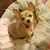 Amy L Rosenberger's profile image