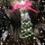 Dawn DakTay's profile image