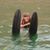 Tracy Van Anderson's profile image
