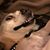 Samantha Jrntn's profile image