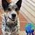Patty Smith Ricketts's profile image