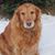 Nicole Walling Smith's profile image