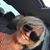 Dixie Lee Shaw's profile image