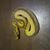 Steven Beehive Davis's profile image