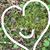 Kelly Overbay Williamson's profile image