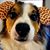 Ruth Epps's profile image