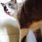Coco J.'s profile image