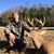 John Novotny's profile image