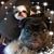 Traci Oxenreider Alexander's profile image