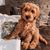 Jill Donoho's profile image