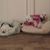 Karen Egan Deegan's profile image