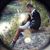 Roselbis Braza's profile image