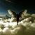 Gina Domer Schraven's profile image