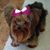 Kathy Scoville Stelter's profile image