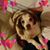 Lynda Halderman's profile image