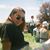 Maggie Shatz's profile image