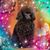Karen Peck-Thorpe's profile image