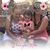 Jolene Tjaden's profile image