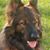 Char St John Tevlin's profile image
