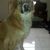 Amy Hanneman's profile image