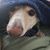 Jessica Aguilar's profile image