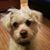 Peter DeRego's profile image