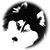 Nino Dotto's profile image