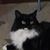 Gail Espinola's profile image