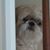 Daisy Panasside's profile image